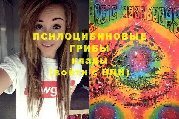 меф Алексин
