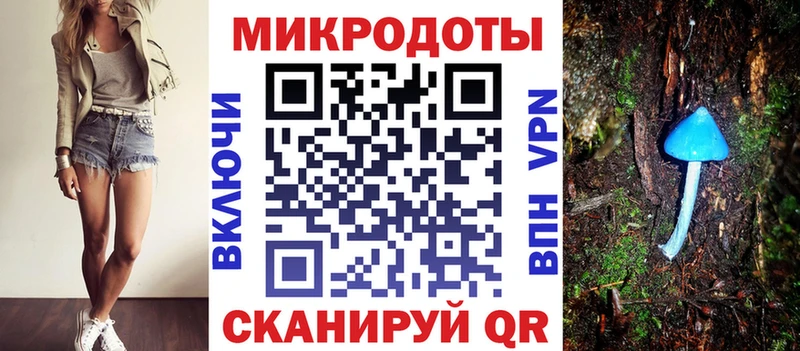 где продают   Дербент  Псилоцибиновые грибы Cubensis 