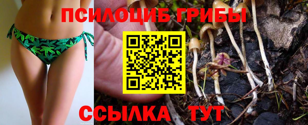 Псилоцибиновые грибы GOLDEN TEACHER  Вход с VPN  Дербент  Галлюциногенные грибы мицелий 