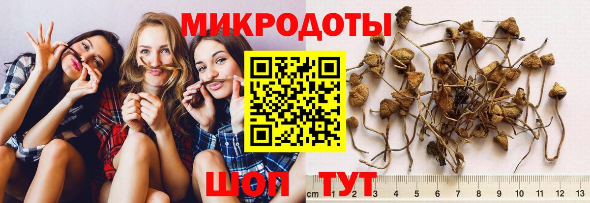 Галлюциногенные грибы Cubensis Дербент
